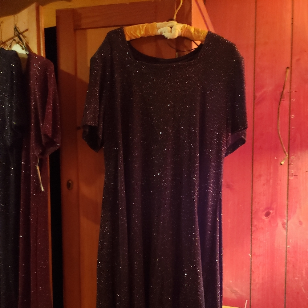 Sparkle swing dress
